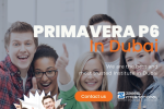 Primavera p6