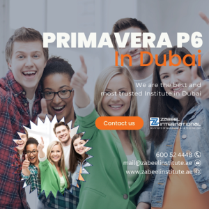 Primavera p6