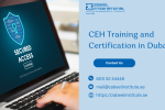 CEH training