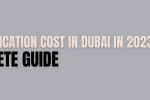 PMP certification cost in dubai