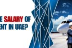 the salary of cargo agent in UAE