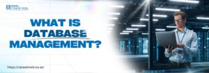 What is Database Management